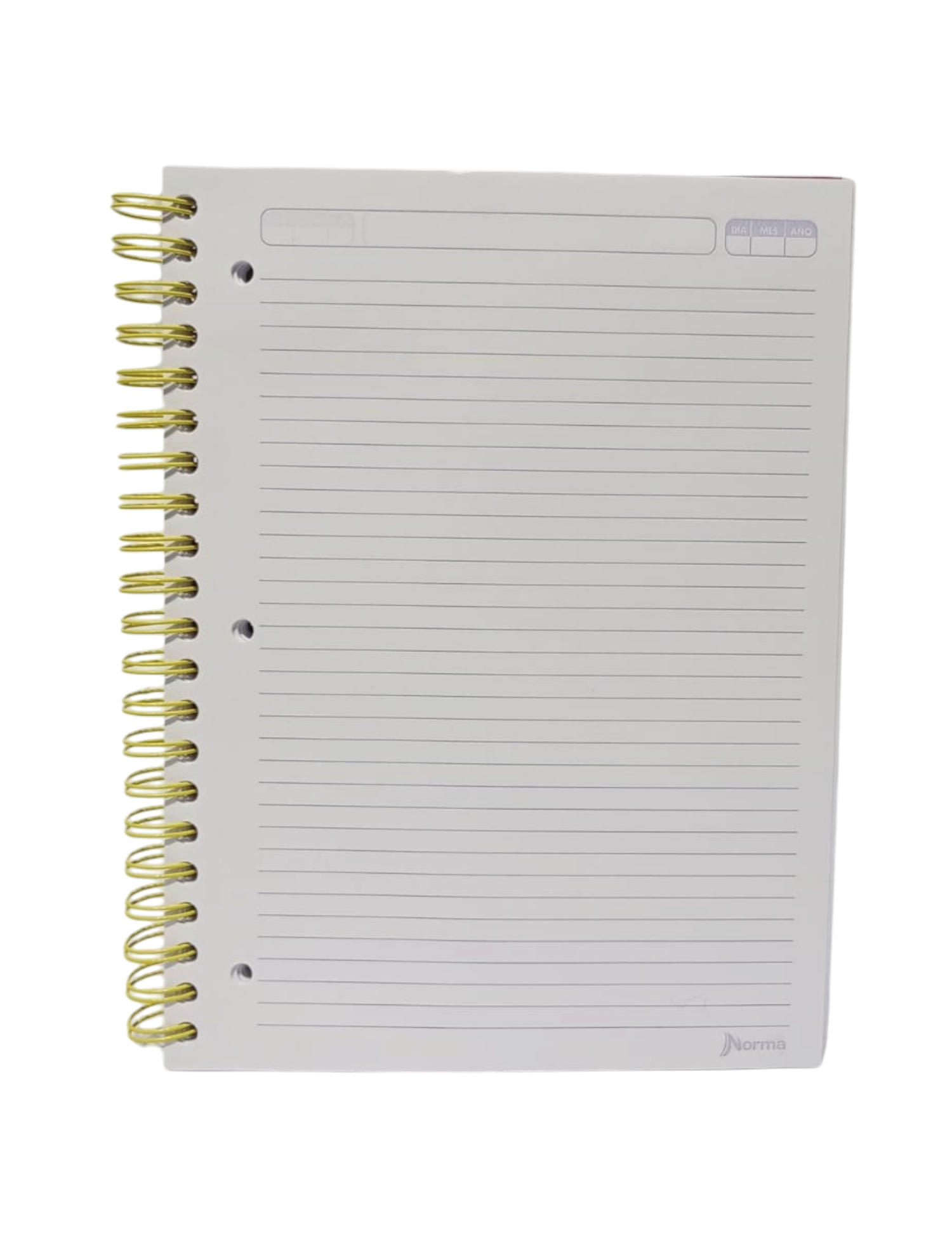 CUADERNO PROFESIONAL UNICAMPUS NORMA RAYA 120 HOJAS