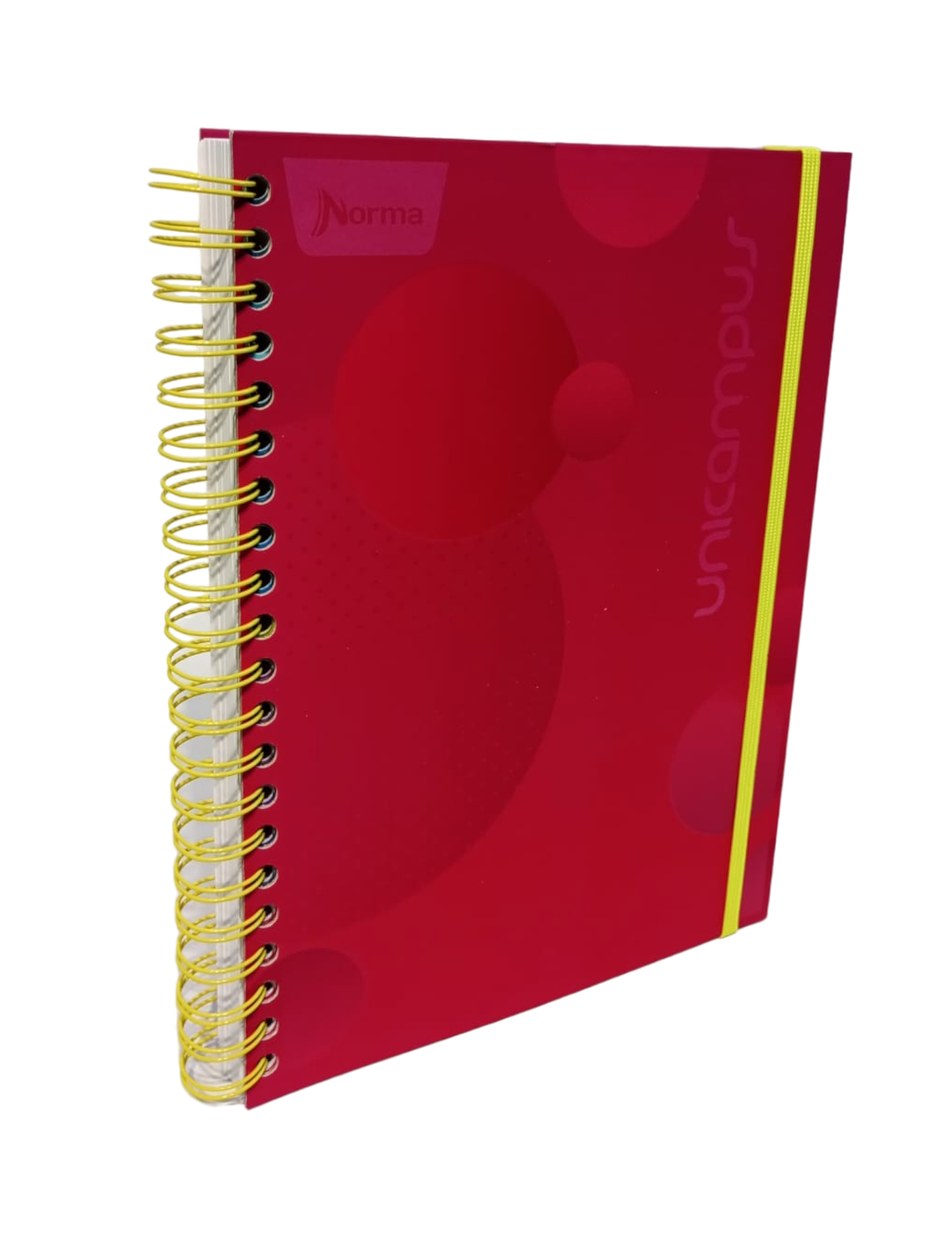 CUADERNO PROFESIONAL UNICAMPUS NORMA RAYA 120 HOJAS