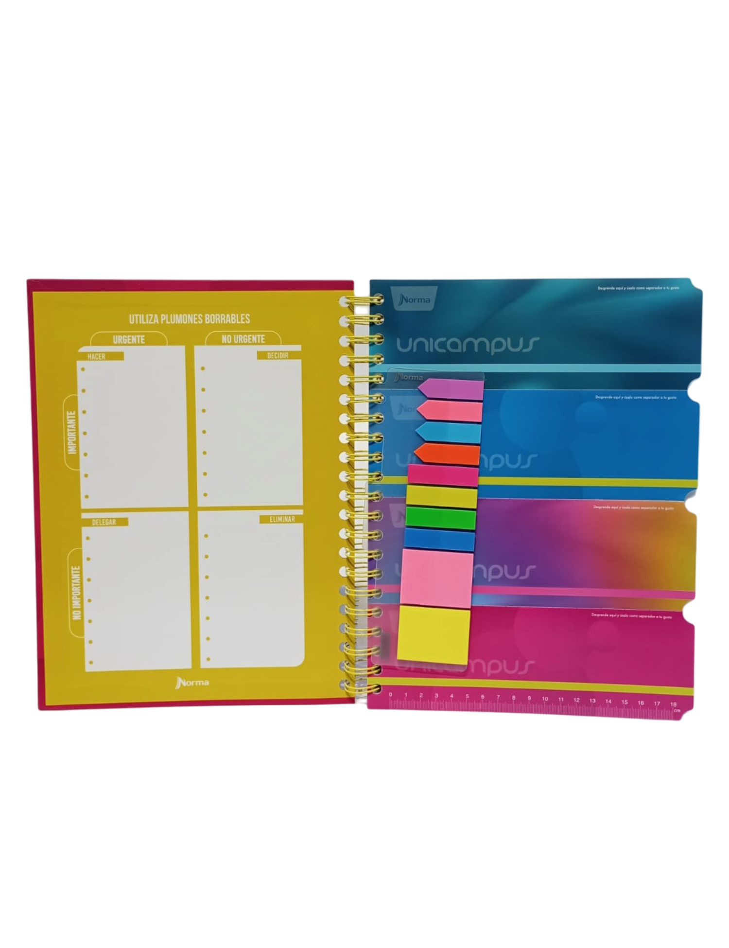 CUADERNO PROFESIONAL UNICAMPUS NORMA RAYA 120 HOJAS