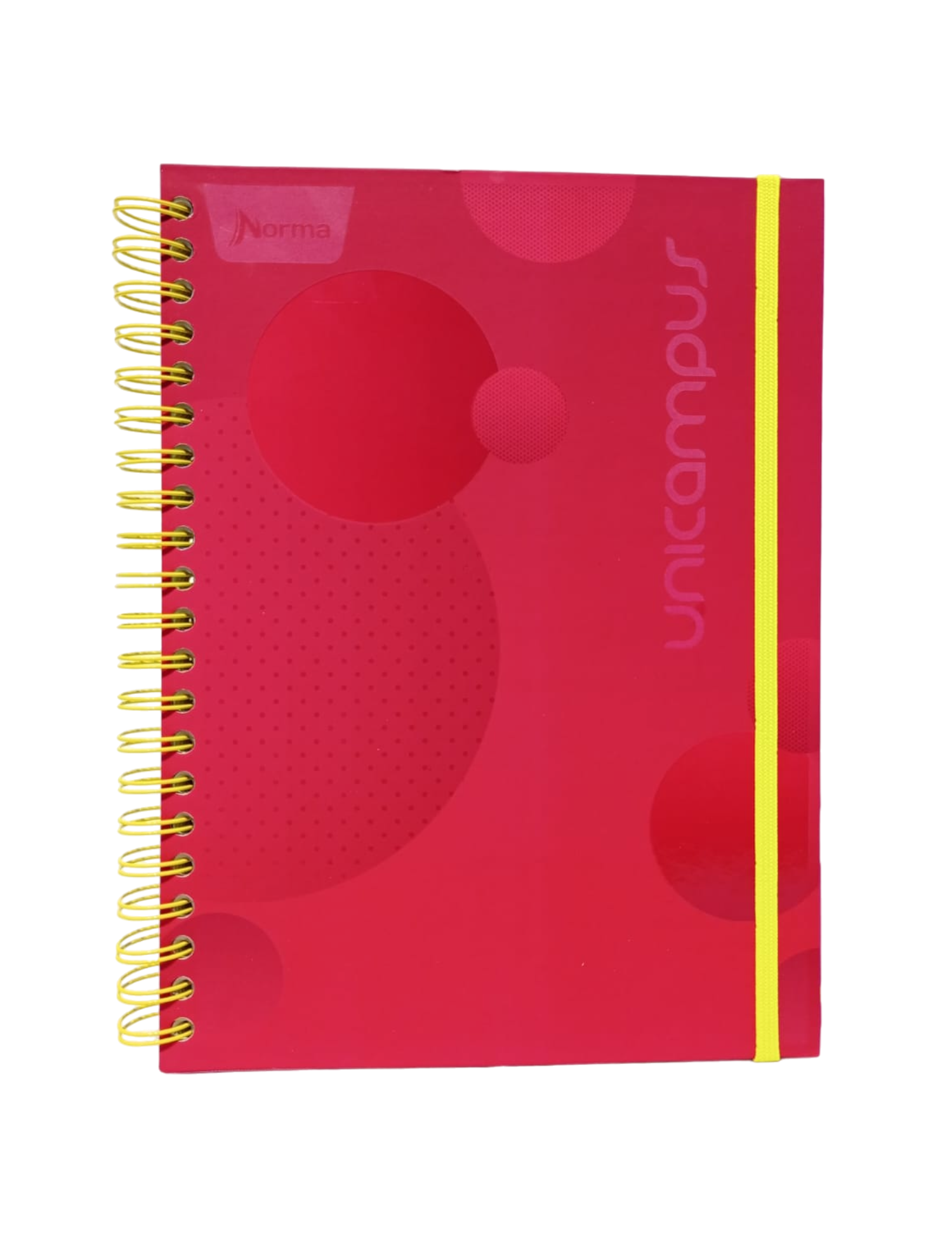 CUADERNO PROFESIONAL UNICAMPUS NORMA RAYA 120 HOJAS